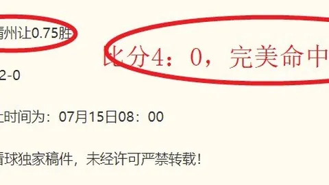 世界杯 113206 0